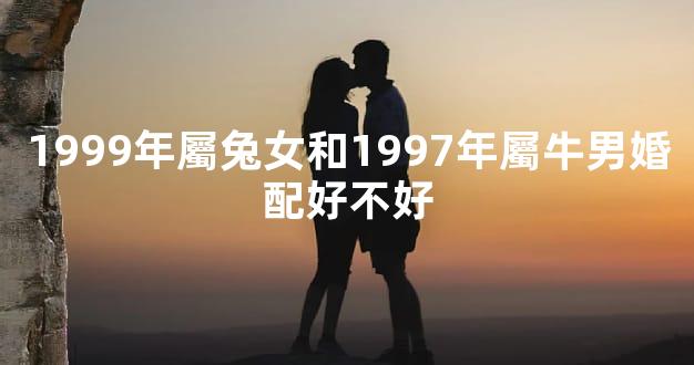 1999年屬兔女和1997年屬牛男婚配好不好