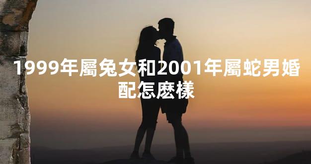 1999年屬兔女和2001年屬蛇男婚配怎麽樣