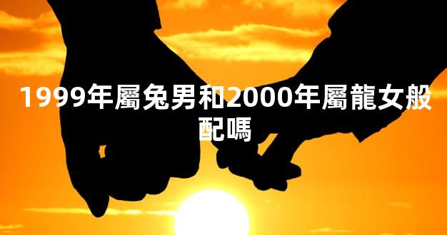1999年屬兔男和2000年屬龍女般配嗎