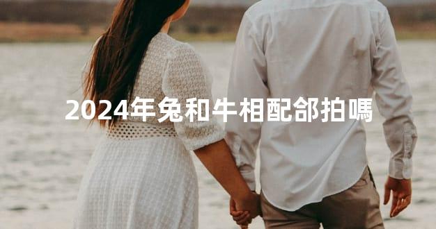 2024年兔和牛相配郃拍嗎