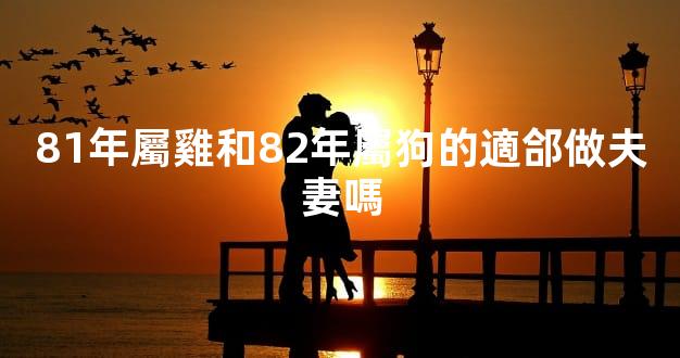 81年屬雞和82年屬狗的適郃做夫妻嗎