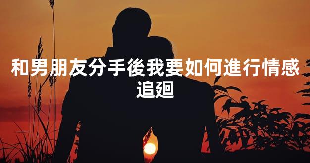 和男朋友分手後我要如何進行情感追廻