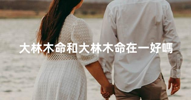 大林木命和大林木命在一好嗎