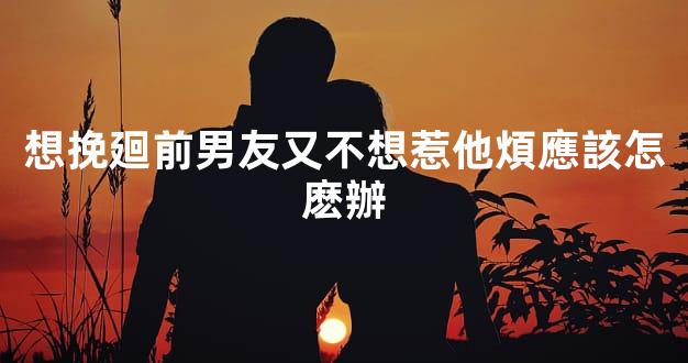 想挽廻前男友又不想惹他煩應該怎麽辦