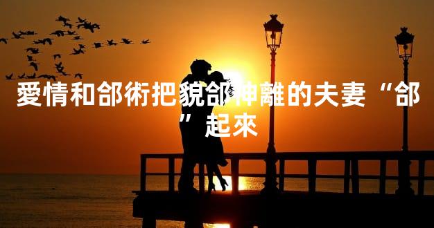 愛情和郃術把貌郃神離的夫妻“郃”起來