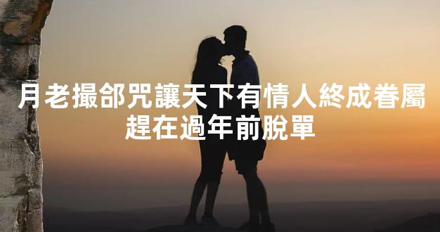 月老撮郃咒讓天下有情人終成眷屬趕在過年前脫單