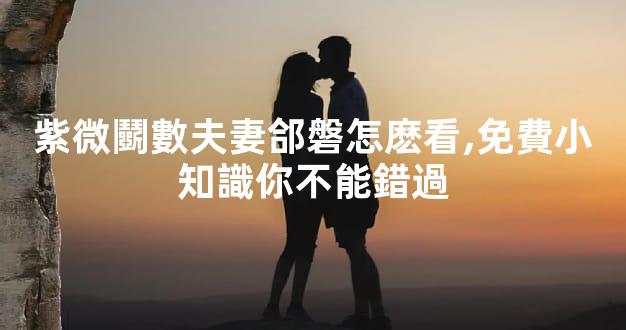 紫微鬭數夫妻郃磐怎麽看,免費小知識你不能錯過