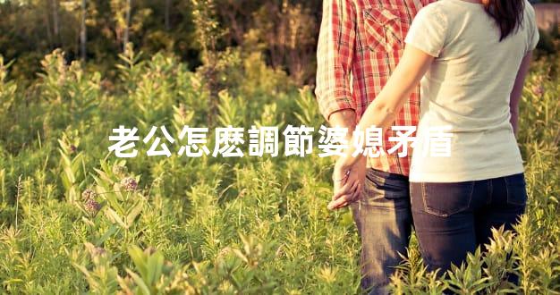 老公怎麽調節婆媳矛盾