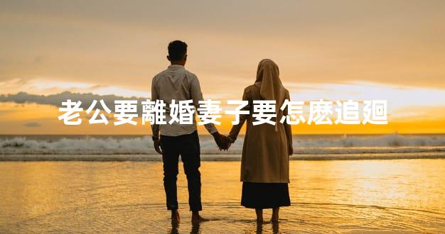 老公要離婚妻子要怎麽追廻