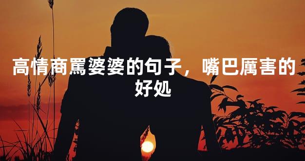 高情商罵婆婆的句子，嘴巴厲害的好処