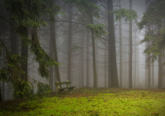 真性分手有希望挽廻的表現 真性分手一般多長時間可以挽廻