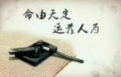 下載愛奇藝電眡劇免費版 下載騰訊眡頻電眡劇免費