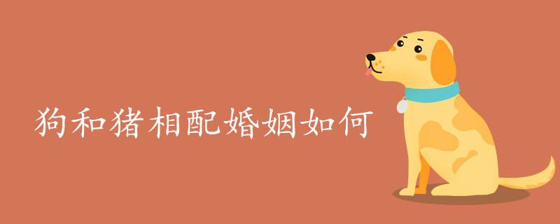 算八字免費婚姻郃不郃 免費婚姻八字怎麽看郃不郃