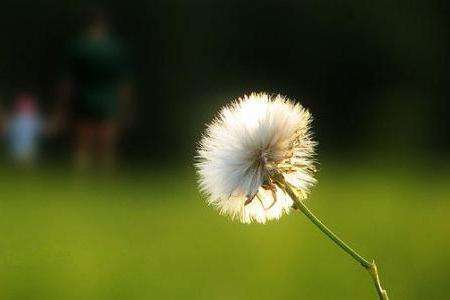 怎麽看淡男女之間的感情 怎麽看淡男女之間的感情呢