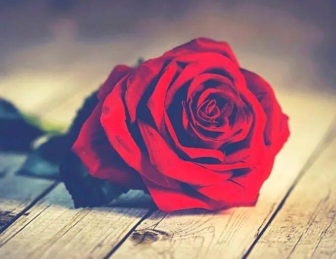 人都是相互的經典句子 看清了人心人性的感悟的句子