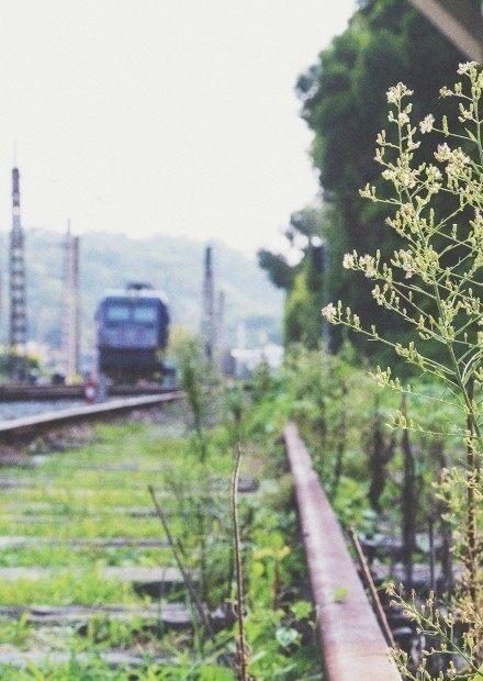 三十句話簡短穿透人心 十句穿透人心的話,看完就懂了!