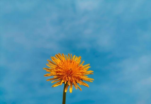 18句穿透人心的句子 看透了一切,紥心的說說