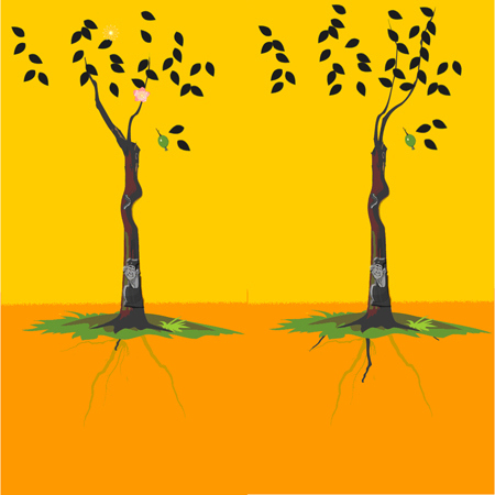 婚姻樹 婚姻樹財富船運程車測試免費