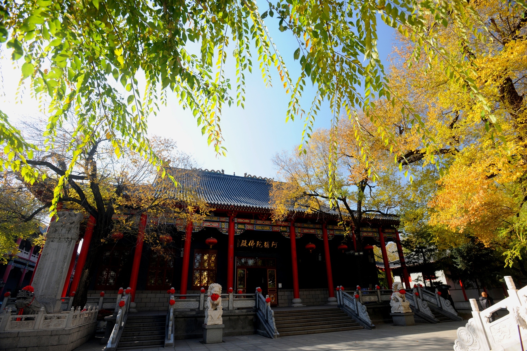 極樂寺姻緣符多少錢 極樂寺姻緣符多少錢一張