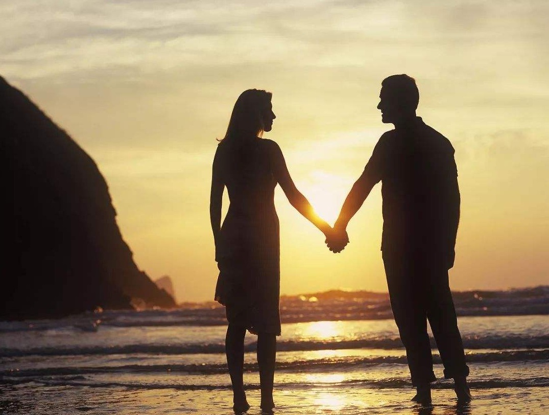 柴米夫妻 柴米夫妻,酒肉朋友是什麽意思啊