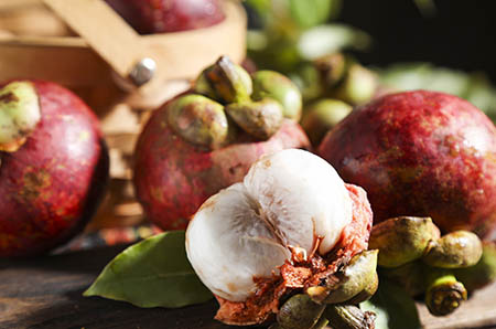 單親家庭 單親家庭幫扶記錄